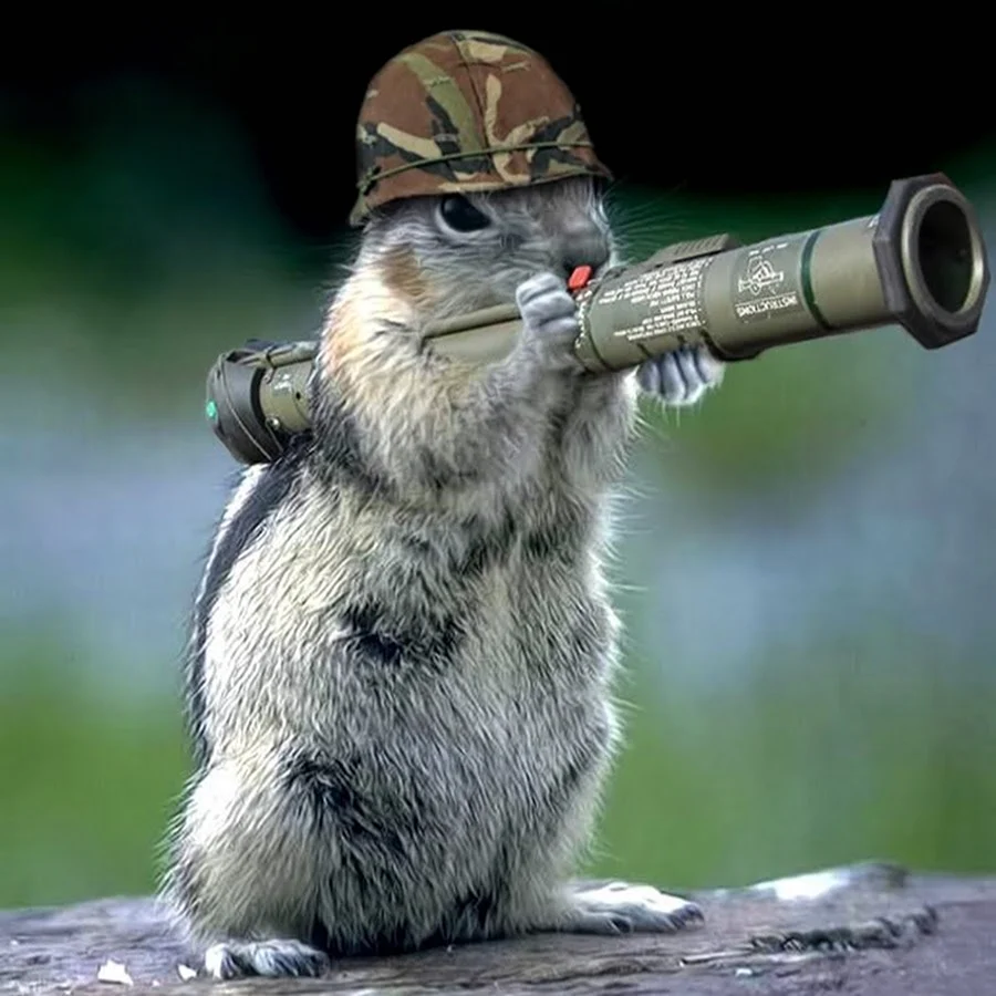 Боевой суслик