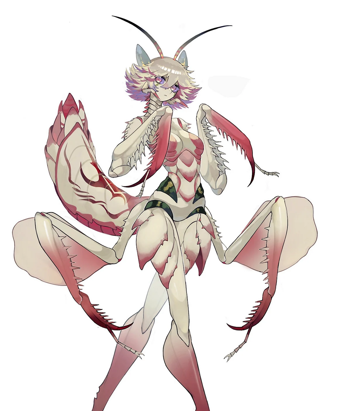 Богомол Monster girl Insectoid