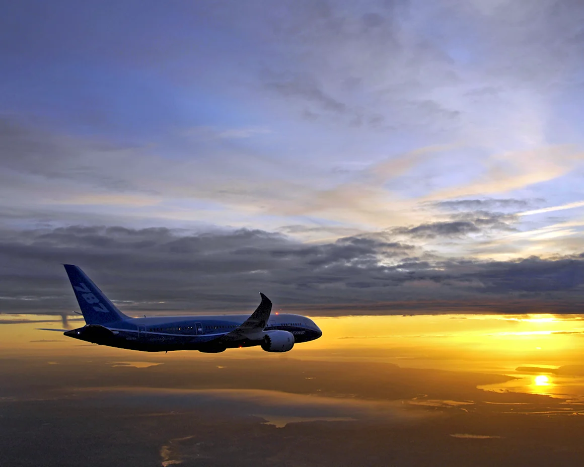 Боинг 787 Дримлайнер в небе