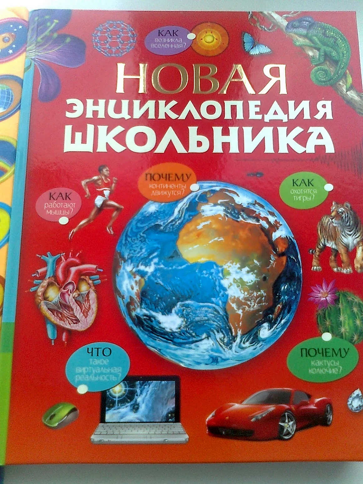 Большая детская энциклопедия школьника