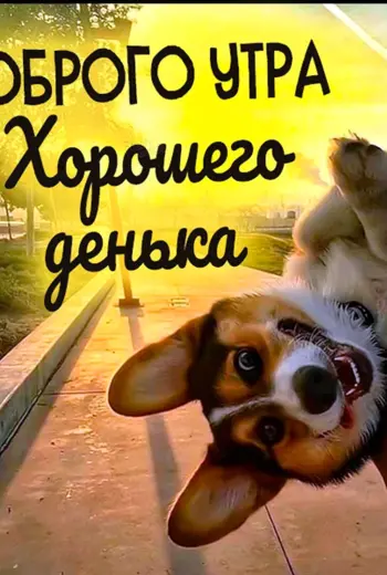 Больше позитива