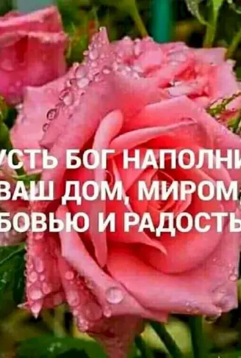 Божьего благословения и мир дому