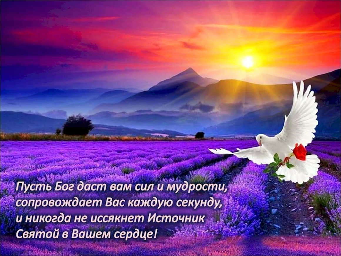 Божьего благословения и мирного неба