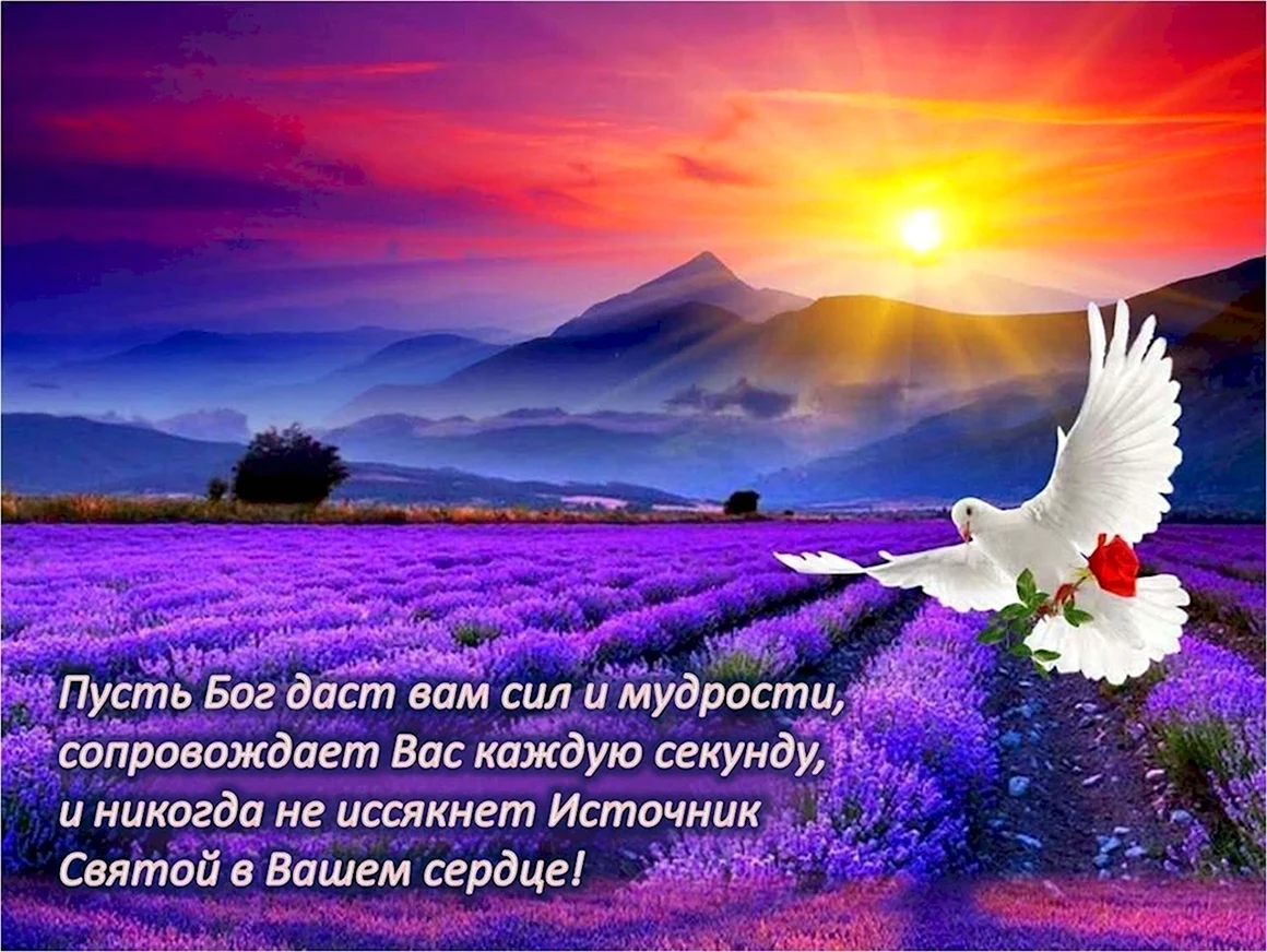 Божьего благословения и мирного неба