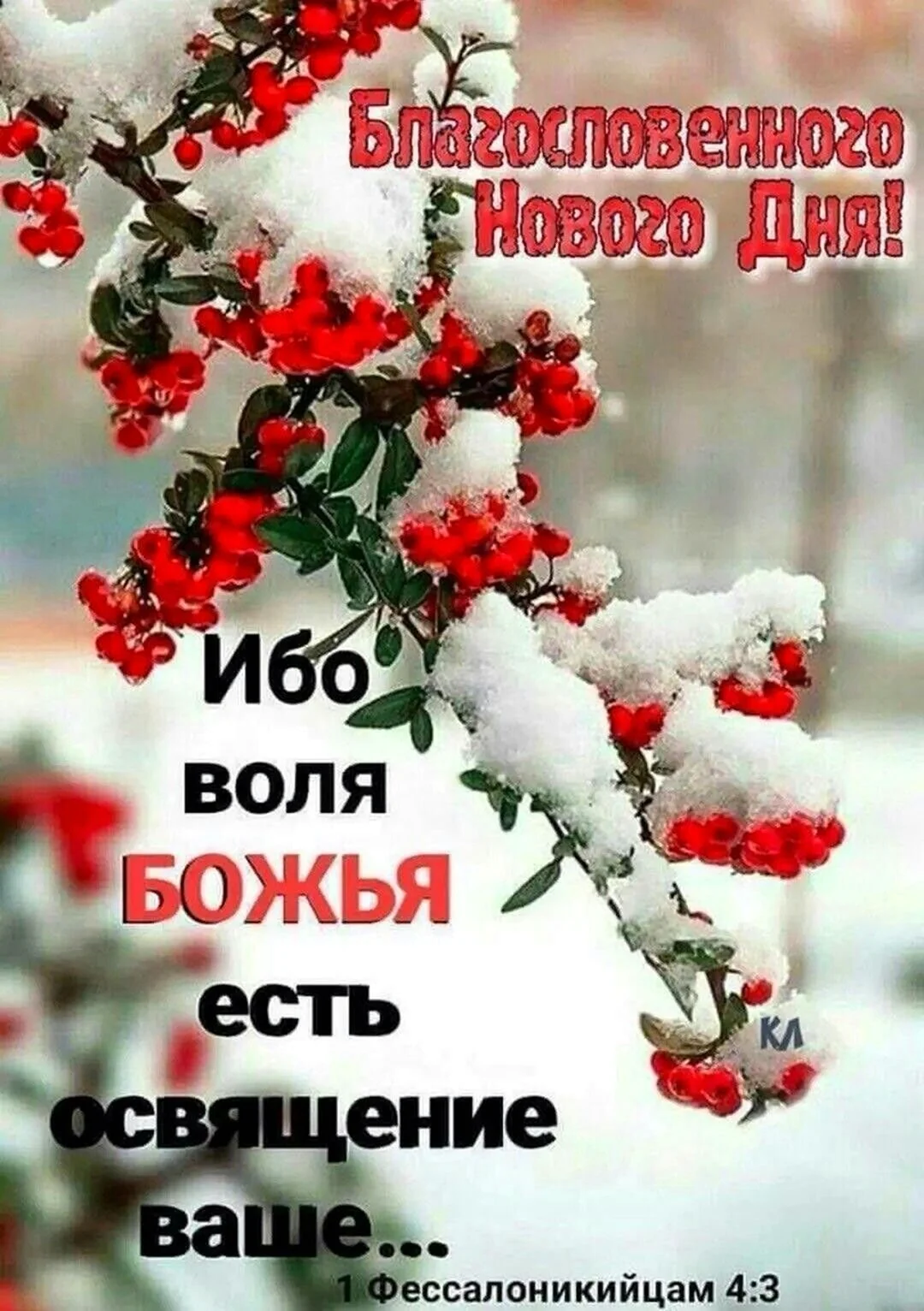 Божьего благословения в зимний день