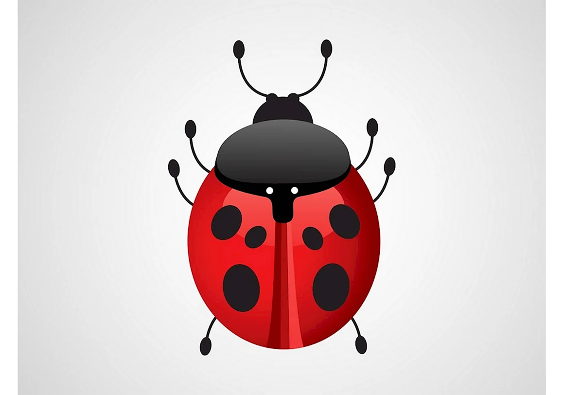 Божья коровка coreldraw