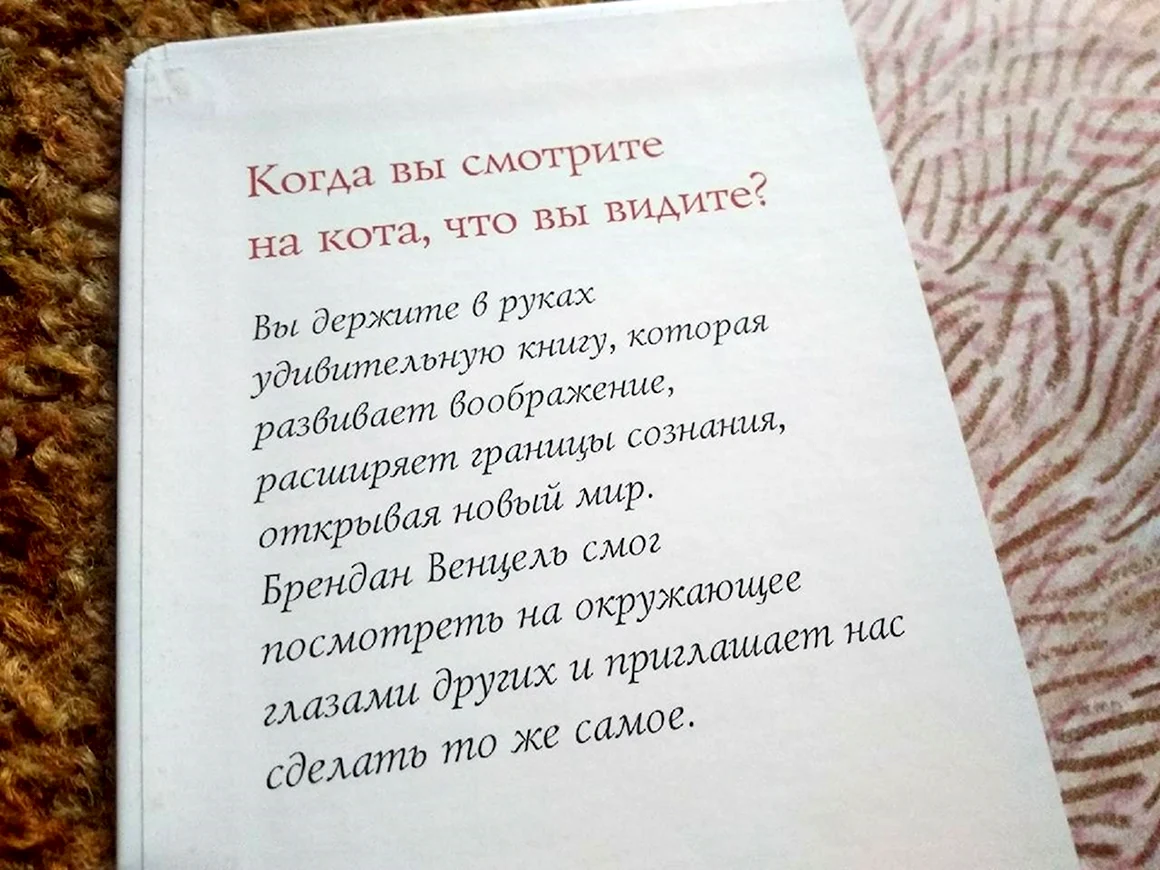 Брендан Венцель все видели кота
