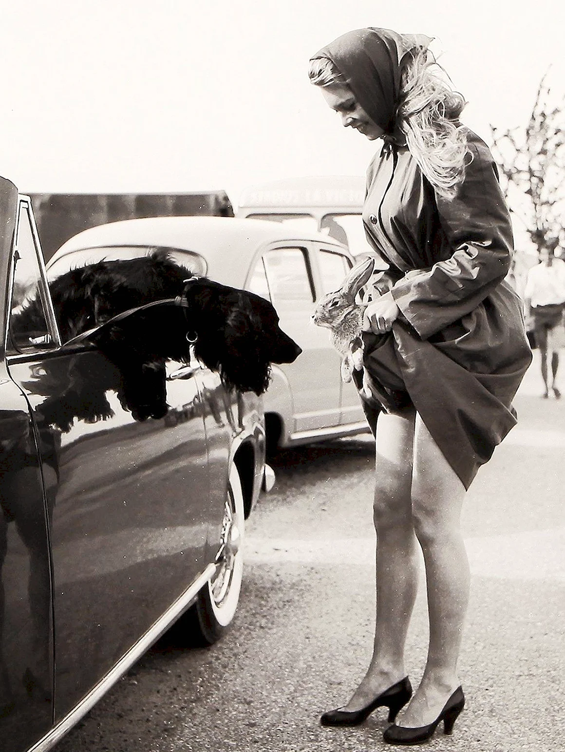 Brigitte Bertrand