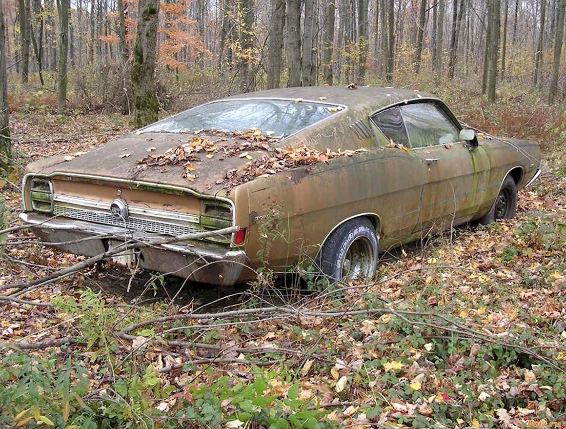 Брошенные авто