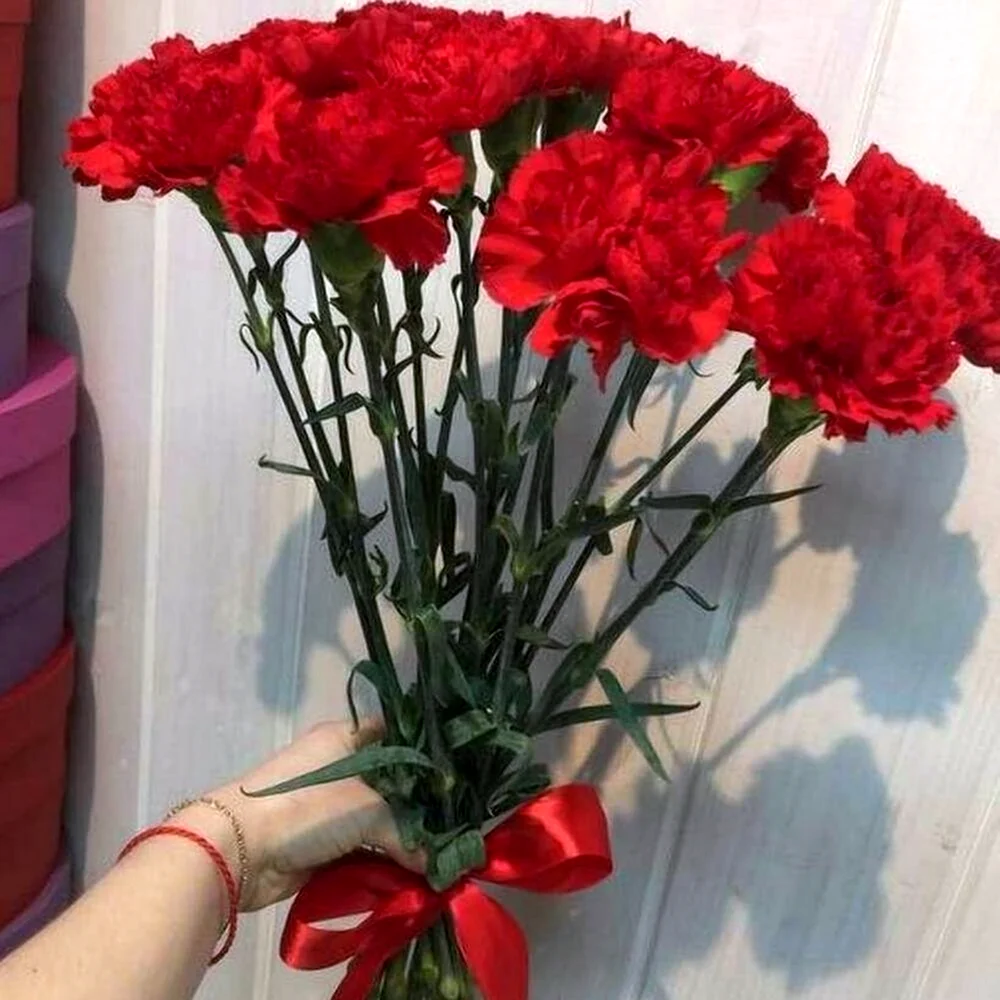 Букет 15 красных гвоздик