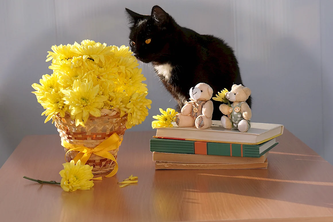 Букет котят