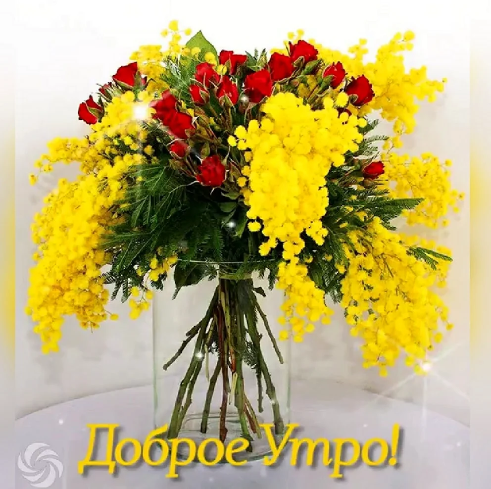 Букет мимозы