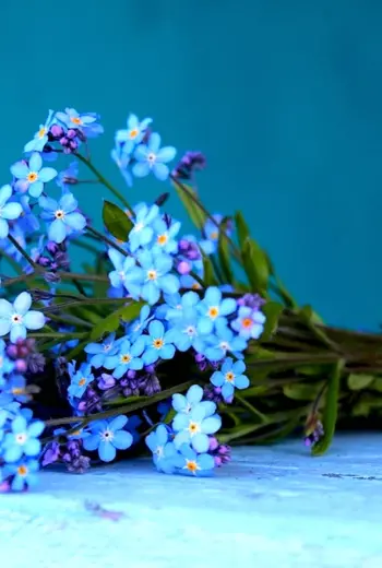 Букет незабудок