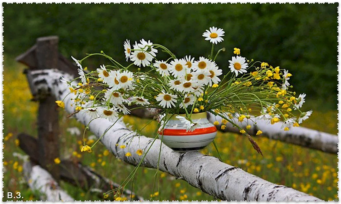 Букет ромашек