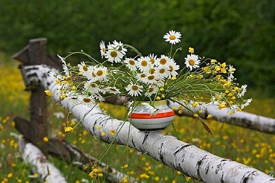Букет ромашек