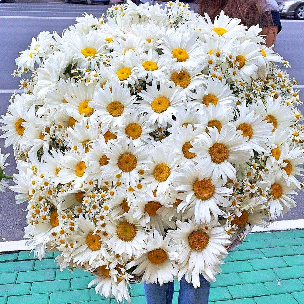 Букет ромашек