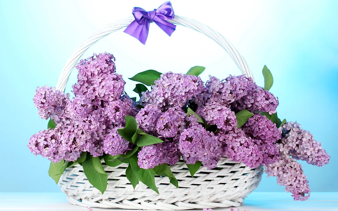 Букет сирень микс