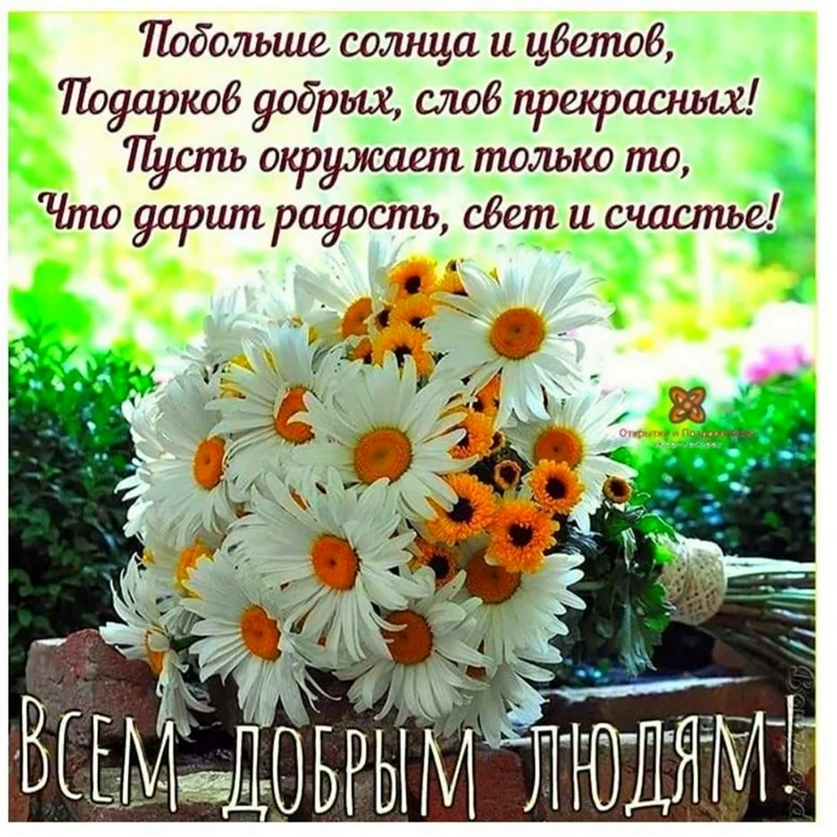 Букеты ромашек с пожеланиями