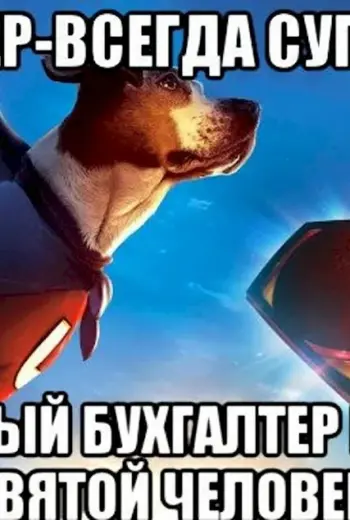 Бухгалтер Супергерой