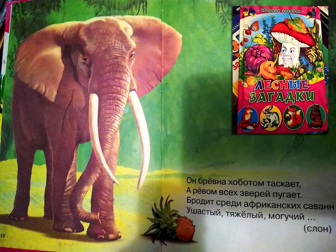 Бумажный слон рассказы
