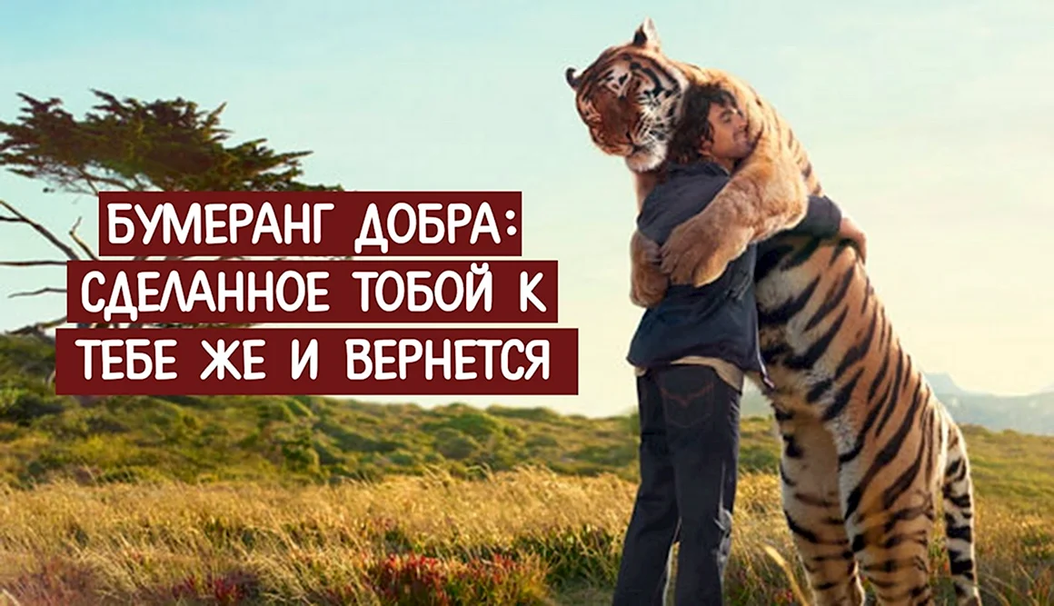 Бумеранг добра