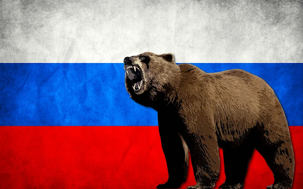 Бурый медведь Россия флаг