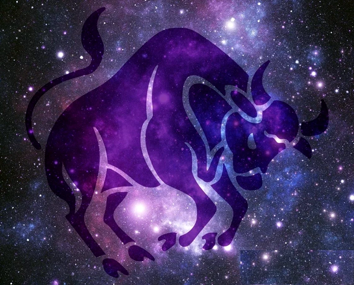 Бык Телец Taurus знак зодиака