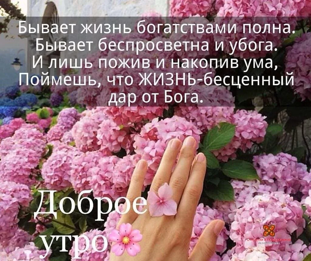 Бывает жизнь богатствами полна
