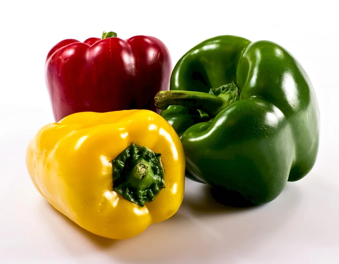 Capsicum annuum сладкий перец