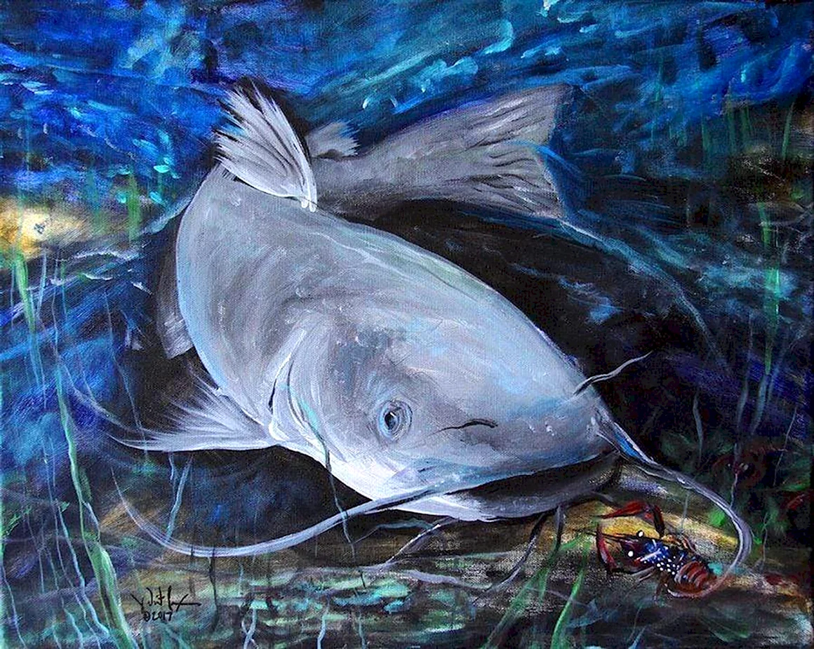 Catfish рыба