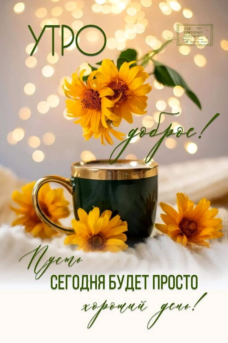 Чай с подсолнухами