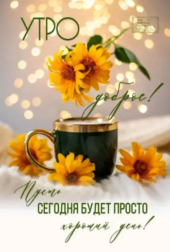 Чай с подсолнухами