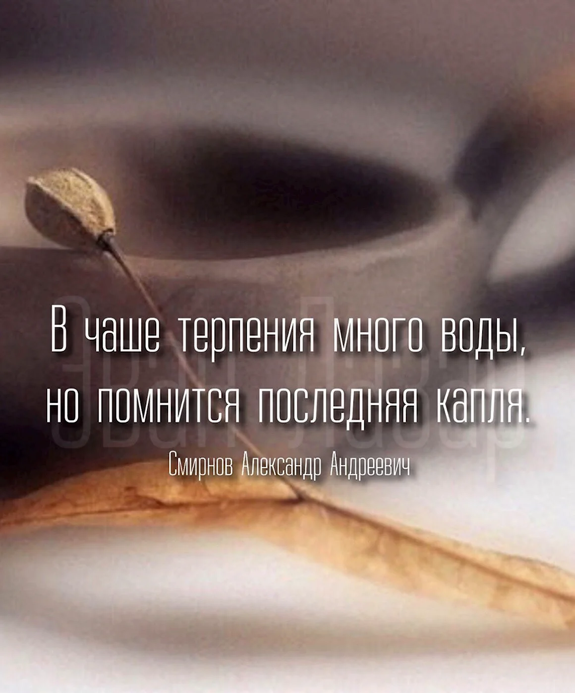 Чаша терпения