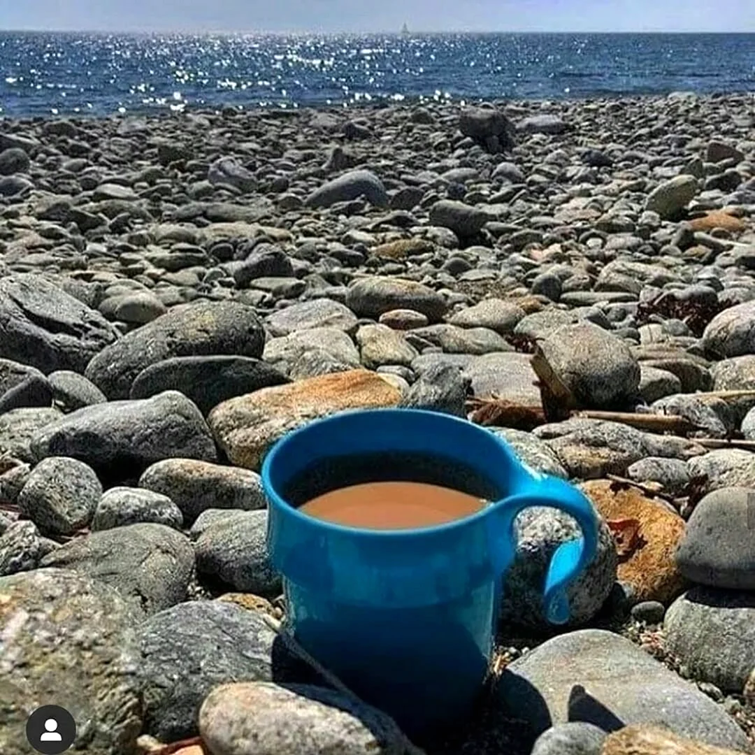 Чашечка моря
