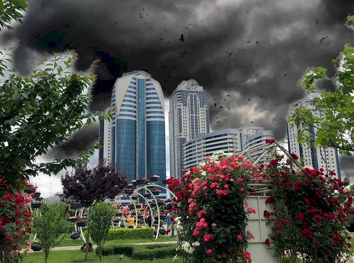 Чечня Грозный 2021