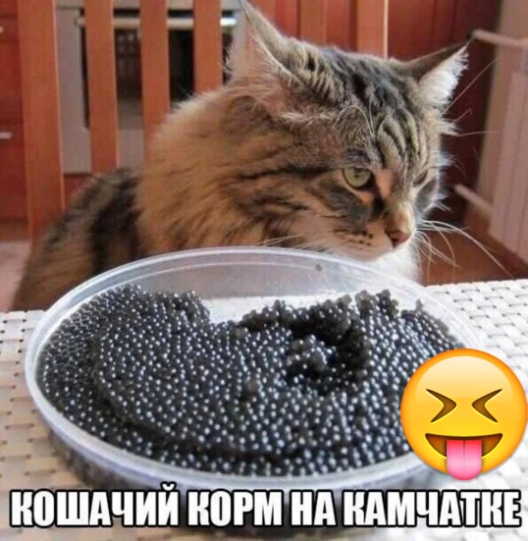 Черная икра прикол