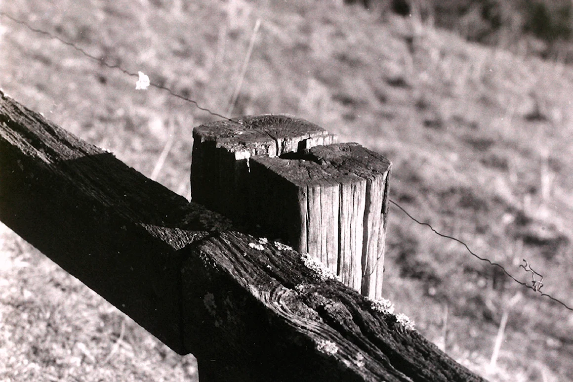 Чёрно-белая фотография забор