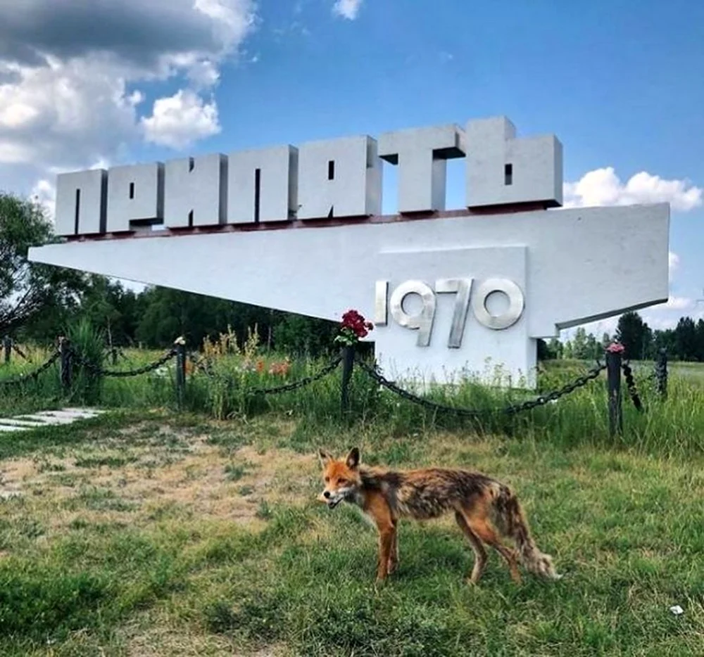 Чернобыль 2022 год