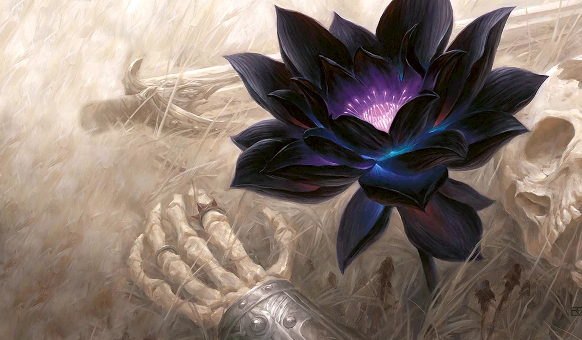Чёрный Лотос MTG
