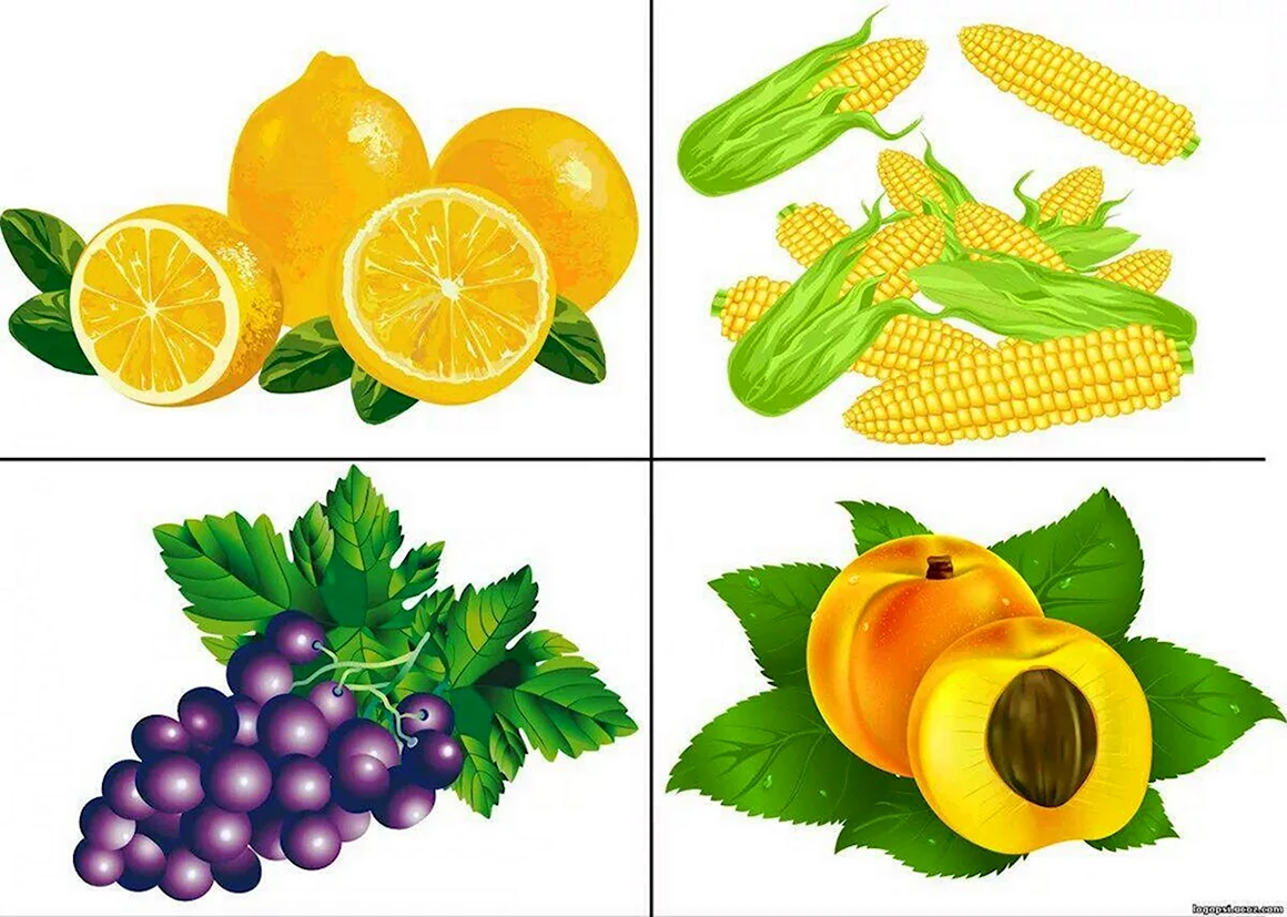 Четвертый лишний фрукты