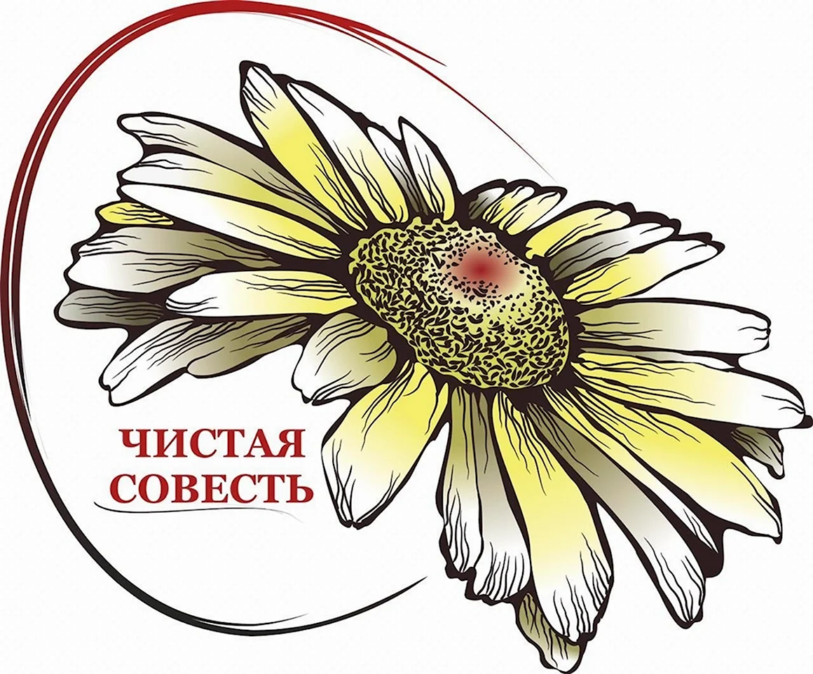 Чистая совесть