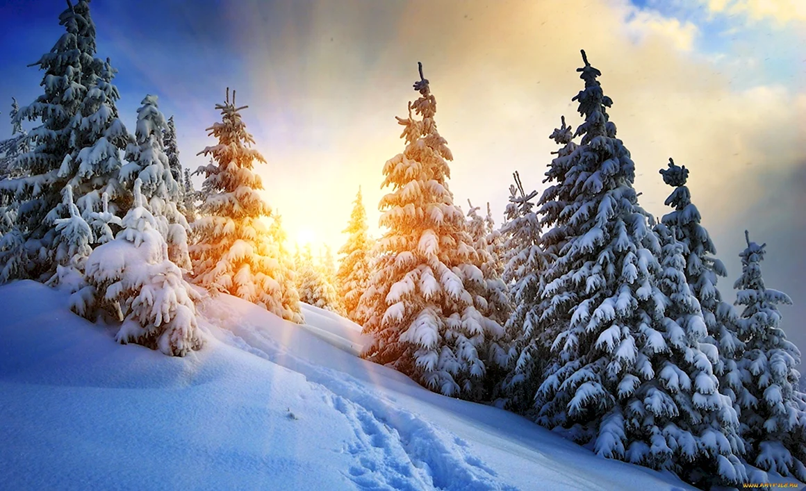 Christmas Chill альбом