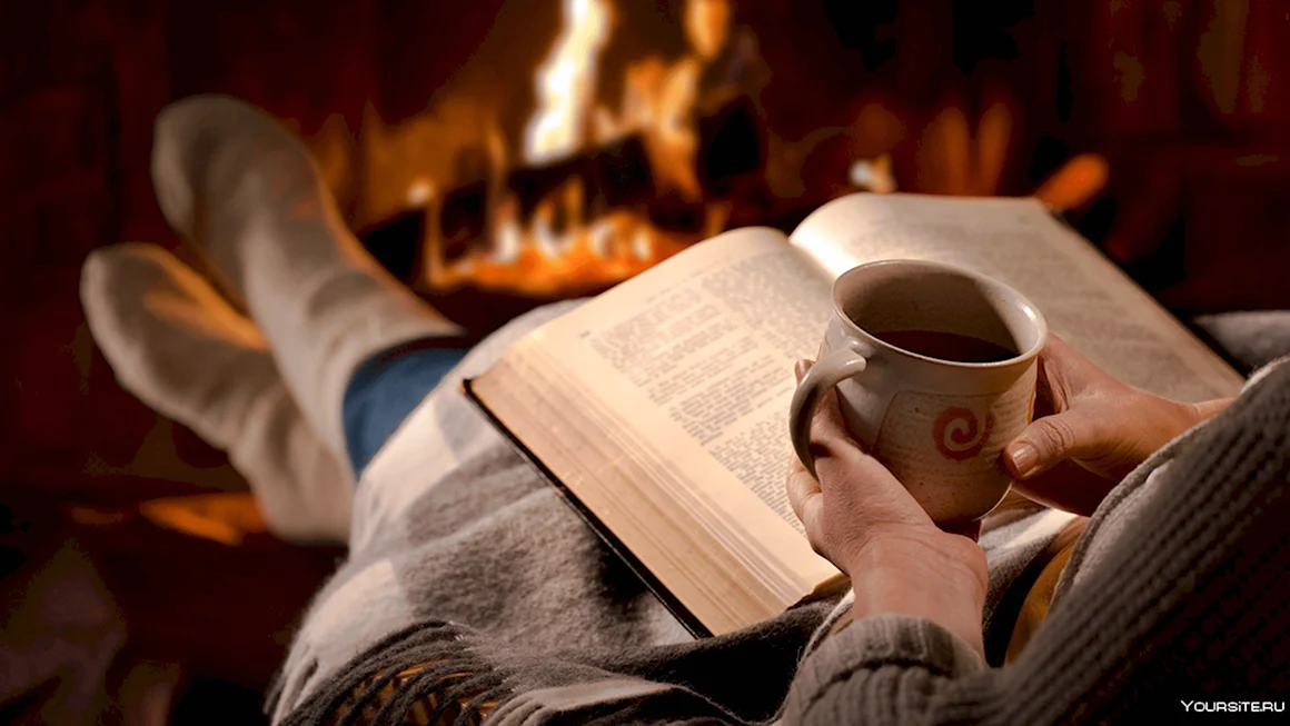 Чтение книги у камина