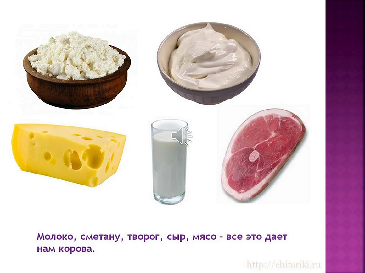 Что дает корова
