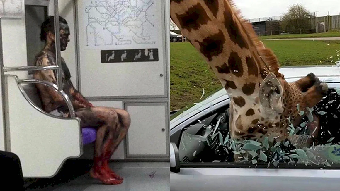 Что то пошло не так фото