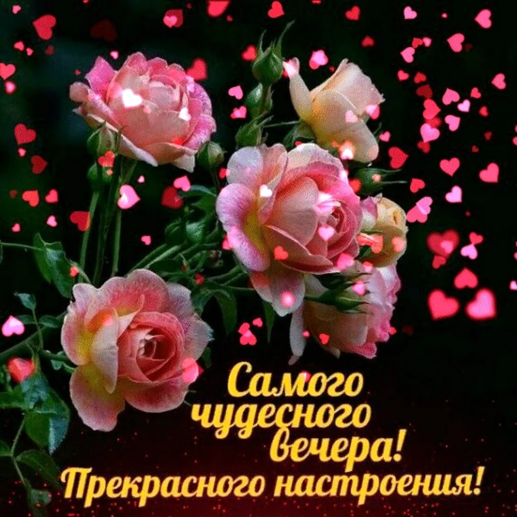 Чудесного вечера