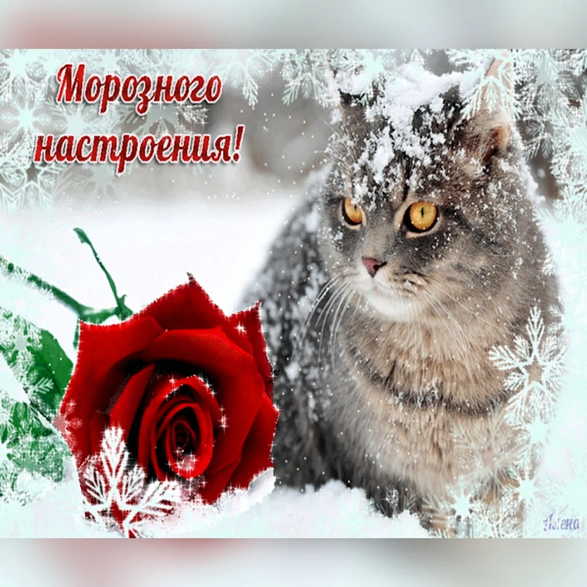 Чудесного зимнего дня и отличного настроения