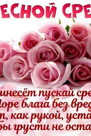 Чудесной среды красивые