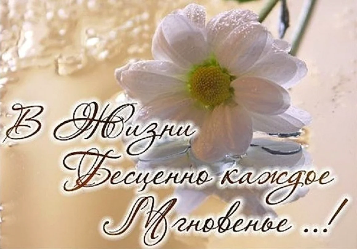 Чудесные мгновения радости