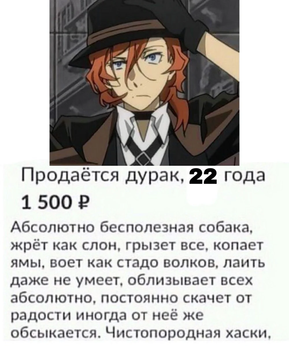 Чуя Накахара писатель